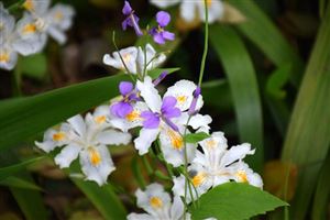 魏桥创业集团获评2025中国工业碳达峰“领跑者”企业！