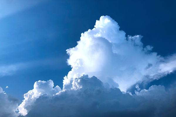 红豆股份上市25周年庆典圆满举行，开启“骐骥驰骋”新征程