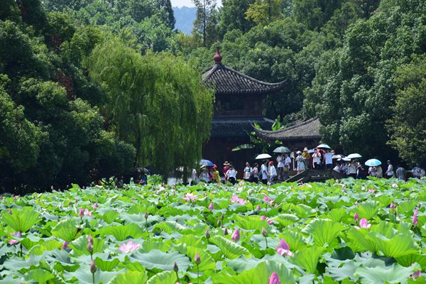 面料防水为什么一洗就掉？耐洗性能差——把耐洗持久性真正做上去的几个环节